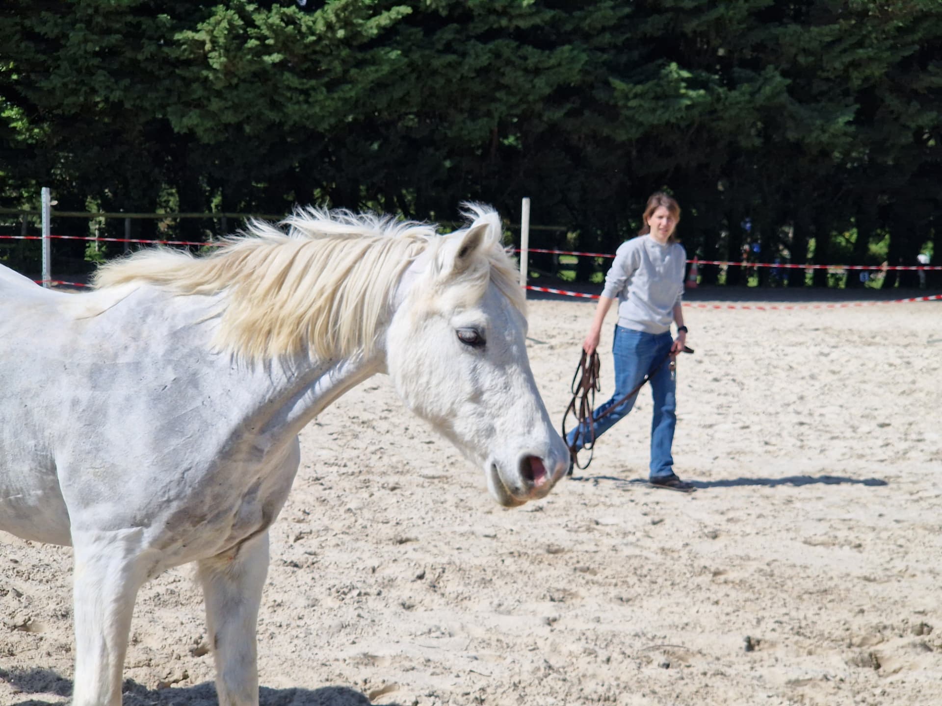 Audrey en séance d'équicoaching avec un cheval blanc